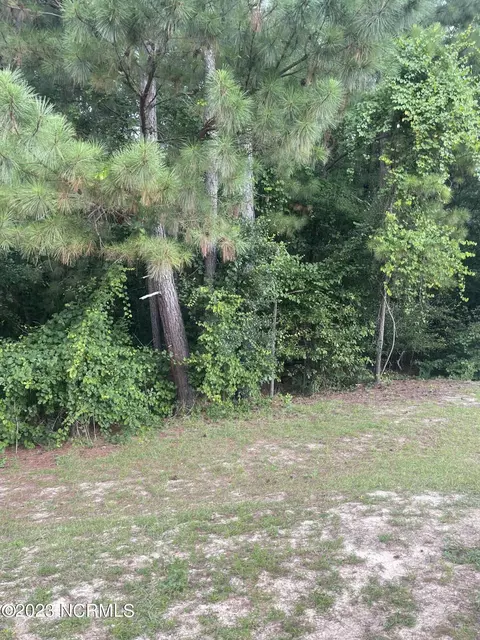 tbd Rice St, Hamlet, NC 28345 photo 9