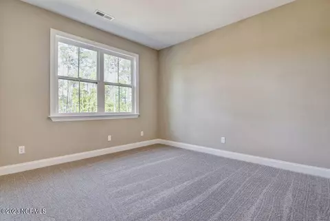 158 Hampton Ct, Hampstead, NC 28443 photo 22