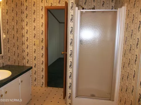 1365 Dover Rd, Star, NC 27356 photo 8
