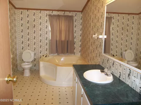 1365 Dover Rd, Star, NC 27356 photo 5