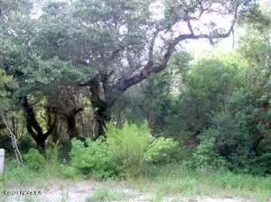 7 Leopard Frog Ct, Bald Head Island, NC 28461