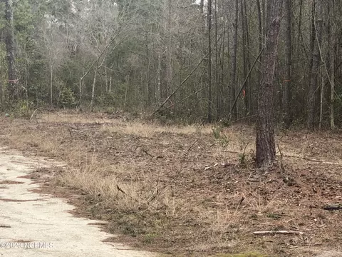 00 Nine Mile Rd, Maple Hill, NC 28454