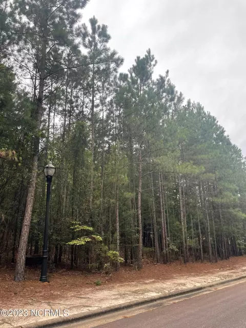 12 Monteith Pl, Pinehurst, NC 28374 photo 6