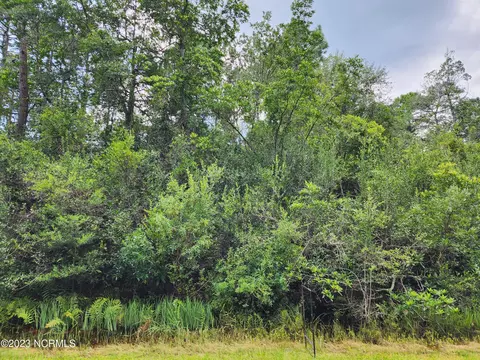 L-101 Sparrow Road, Boiling Spring Lakes, NC 28461