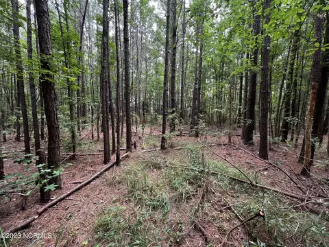 0 Elm St, Belhaven, NC 27810