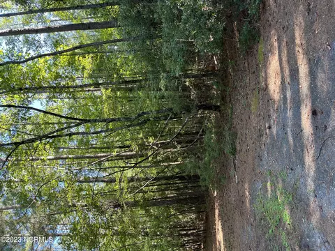 51 Old English Ln, Kinston, NC 28504