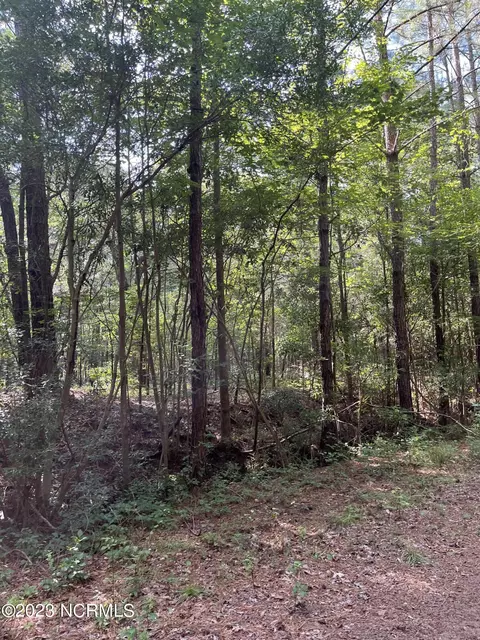 99 Olde Jamestown Rd, Kinston, NC 28504