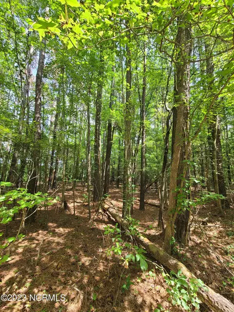0 Mail Route Rd, Wallace, NC 28466 photo 8