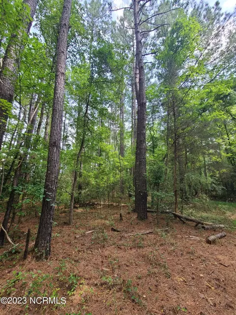0 Mail Route Rd, Wallace, NC 28466 photo 10