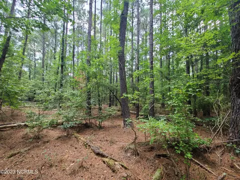 0 Mail Route Rd, Wallace, NC 28466 photo 6
