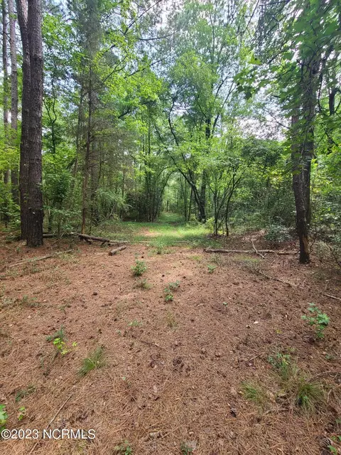 0 Mail Route Rd, Wallace, NC 28466 photo 11