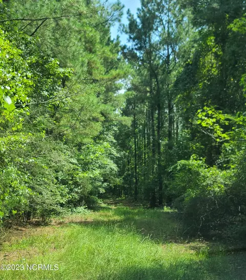 0 Mail Route Rd, Wallace, NC 28466 photo 9