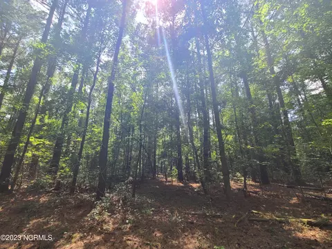 0 Mail Route Rd, Wallace, NC 28466