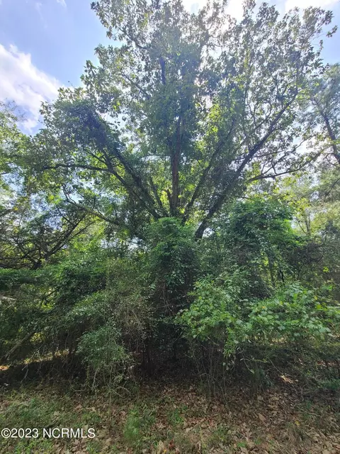 0 Mail Route Rd, Wallace, NC 28466 photo 7
