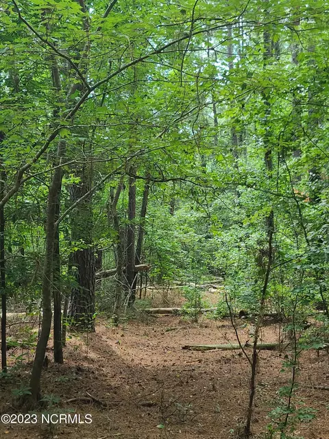 0 Mail Route Rd, Wallace, NC 28466 photo 5