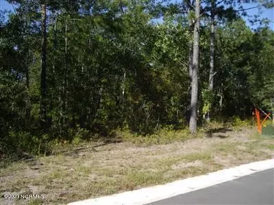 463 Shiloh Ln SE, Bolivia, NC 28422