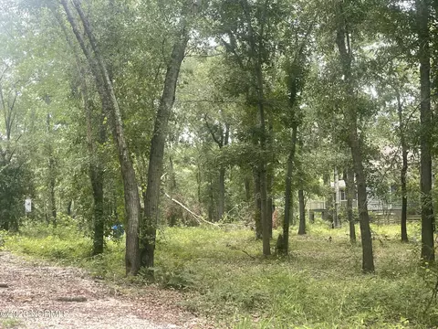 3 White Tail Ln # r, Watha, NC 28478