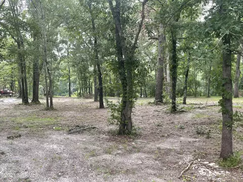lot4 White Tail Ln, Watha, NC 28478