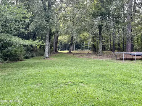 1 Beech Nut Dr, Eure, NC 27935 photo 14