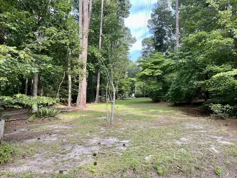 1 Beech Nut Dr, Eure, NC 27935 photo 17