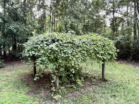 1 Beech Nut Dr, Eure, NC 27935 photo 16
