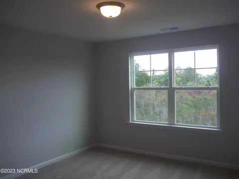 1115 Terraces Ln, Hampstead, NC 28443 photo 30