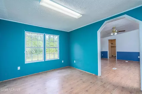 164 Kristy Dodson Ln, Wallace, NC 28466 photo 9