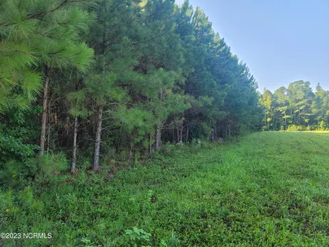 lot1 2 Powell Ln, Loris, SC 29569 photo 4