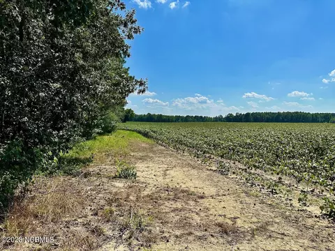 0 Hargraves Rd, Jackson, NC 27845 photo 11
