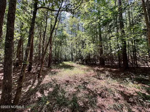 0 Hargraves Rd, Jackson, NC 27845 photo 19