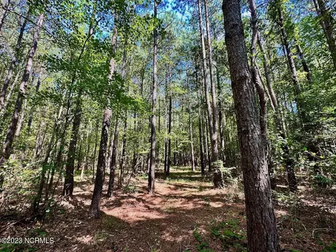 0 Hargraves Rd, Jackson, NC 27845 photo 33