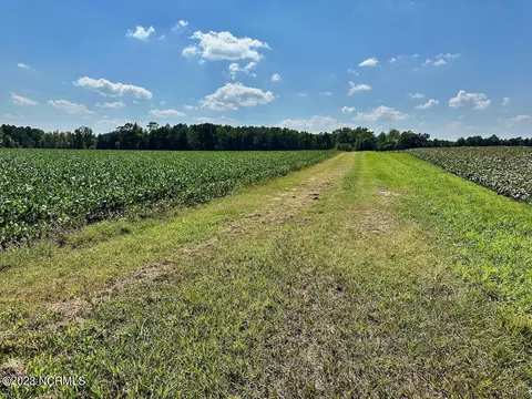 0 Hargraves Rd, Jackson, NC 27845 photo 5