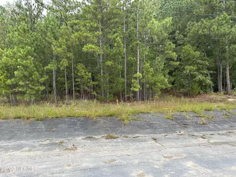 1170 SW Broad Southwest St, Southern Pines, NC 28387