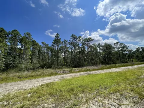 L 11 Peedee Road, Boiling Spring Lakes, NC 28461