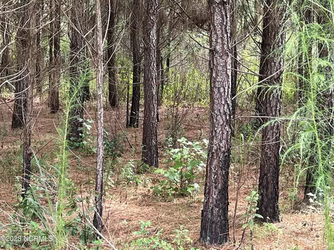 E Tebo Road, New Bern, NC 28562 photo 12