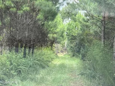 E Tebo Road, New Bern, NC 28562 photo 13