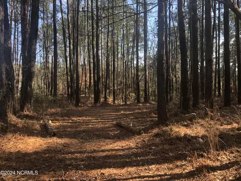 lot51 Mill Creek Ln, Bath, NC 27808