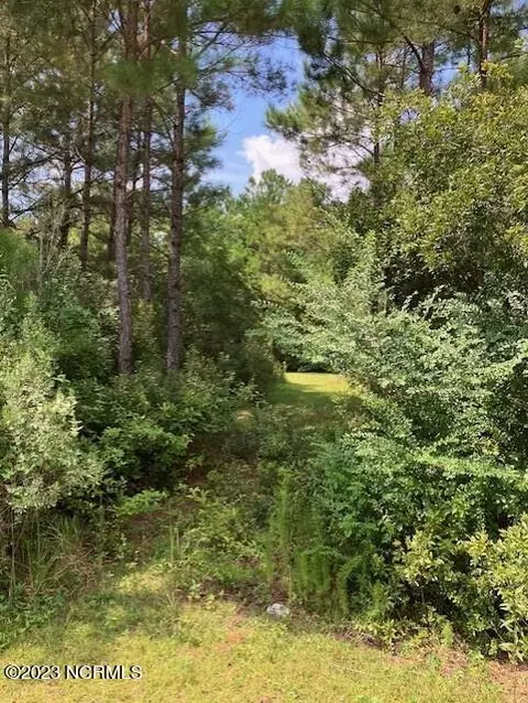 01 Woodside Dr, Hampstead, NC 28443 photo 5
