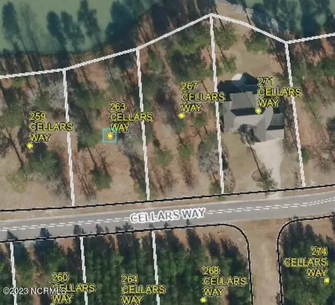 263 Cellars Way, Wallace, NC 28466 photo 6