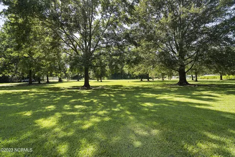 3686 Crooked Run Rd, Willard, NC 28478 photo 65