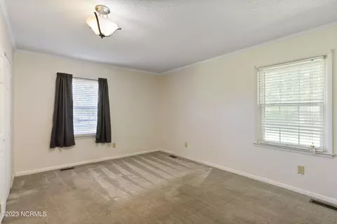 3686 Crooked Run Rd, Willard, NC 28478 photo 61