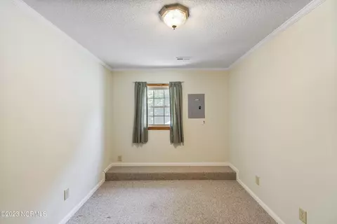 3686 Crooked Run Rd, Willard, NC 28478 photo 49