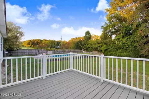 10141 Chestnut Ridge Rd, Bailey, NC 27807 photo 22