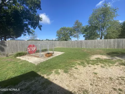 772 Old Smith Chapel Rd, Mount Olive, NC 28365 photo 14