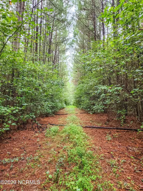 51 Acres Stapleford Rd, New Bern, NC 28560