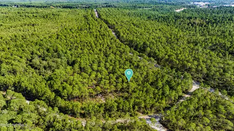 0 Forest Edge Rd, Hampstead, NC 28443 photo 11