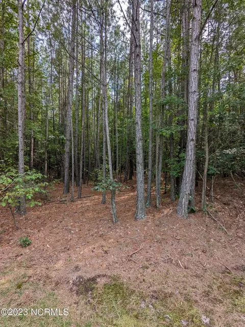 1755 Red Hill Rd, Cameron, NC 28326