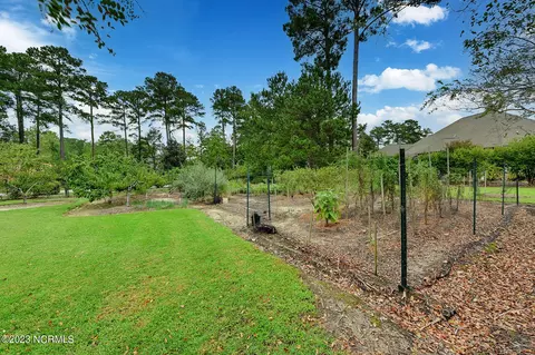 102 Saint Johns Ct, Chocowinity, NC 27817 photo 62