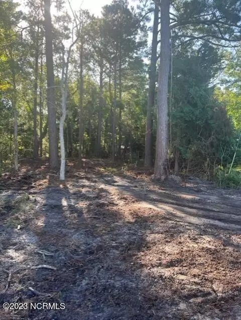 251 Crow Hill Rd, Beaufort, NC 28516
