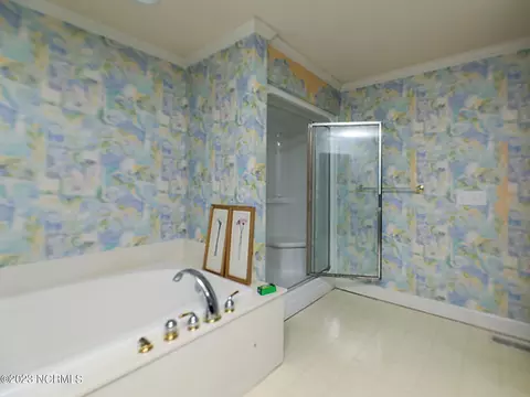 1100 Biddle Rd, Dover, NC 28526 photo 34